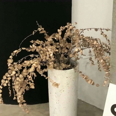 兽设设计灵感合集兽圈社群